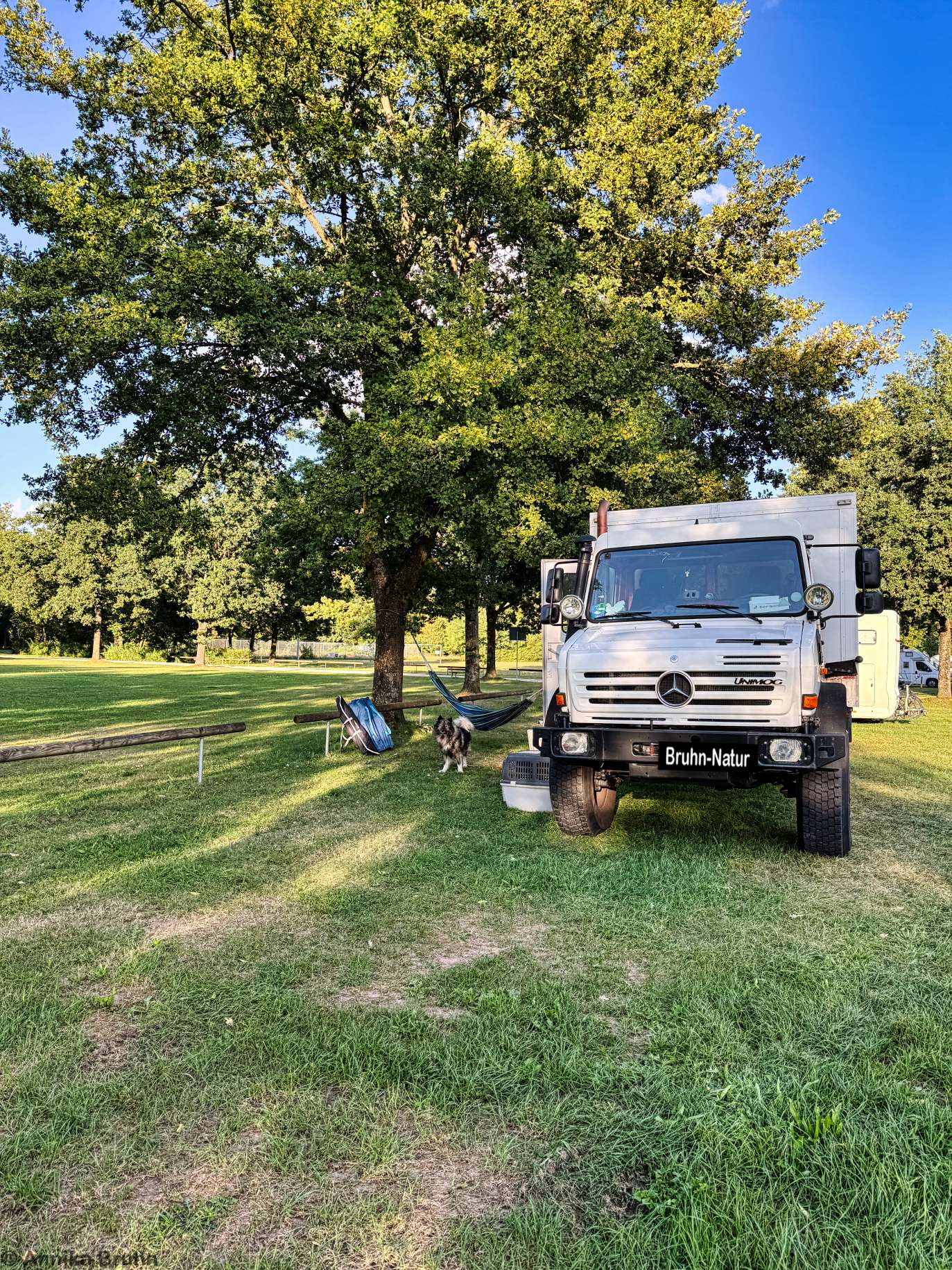 Platz auf der Sommerwiese